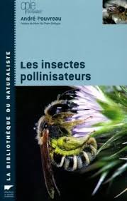 thumbnail - Les insectes pollinisateurs